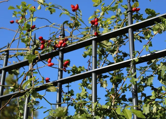 Hoeriblick アパート